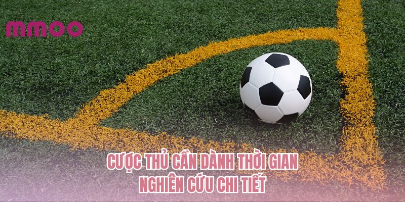 Cược thủ cần dành thời gian nghiên cứu chi tiết